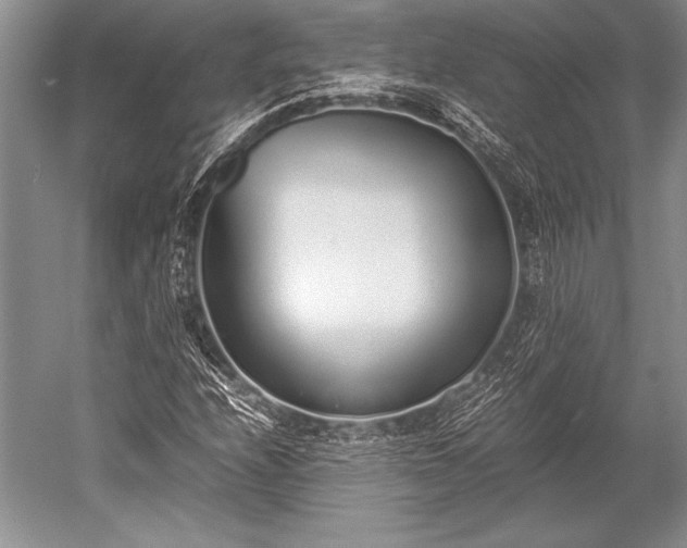 X0000052581208200507081719