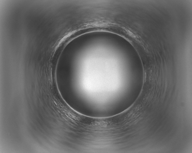 X0000052581214200507081719