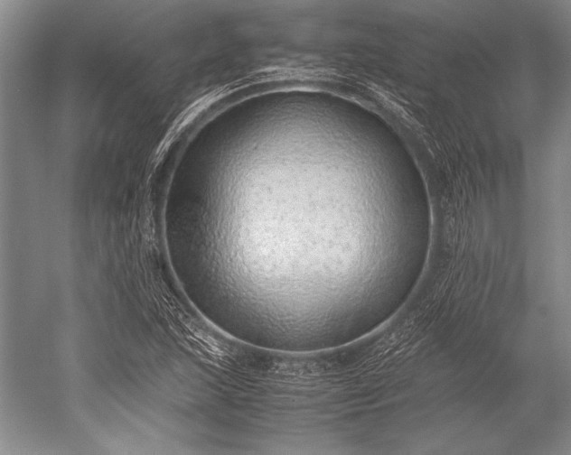 X0000052581215200507081719