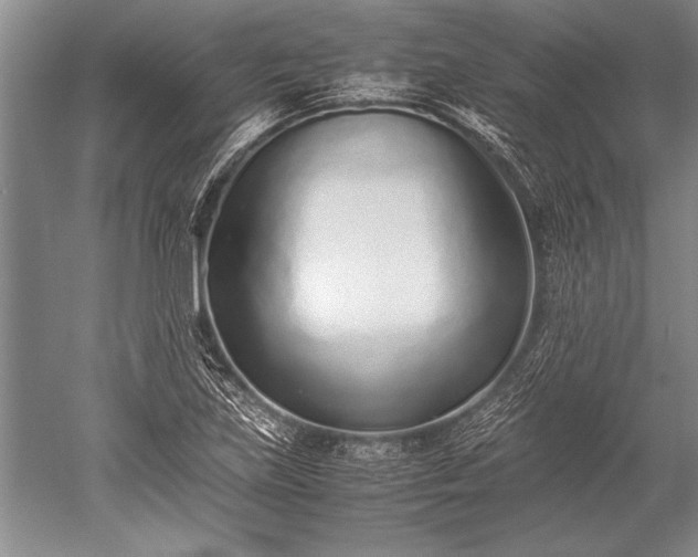 X0000052581219200507081719