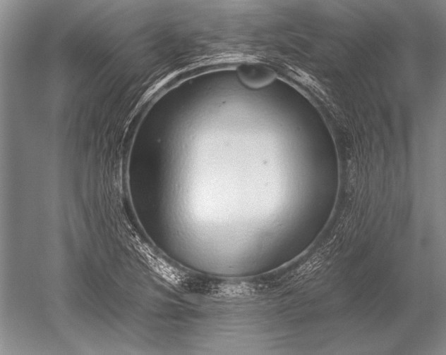 X0000052581220200507081719