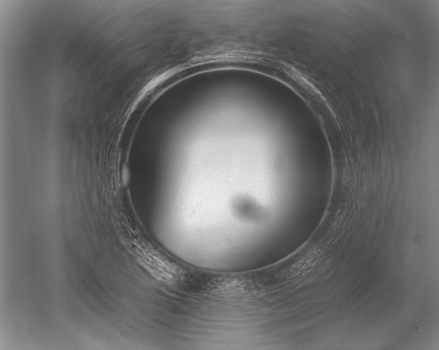 X0000052581222200507081719