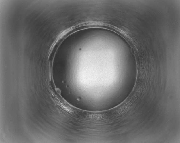 X0000052581223200507081719