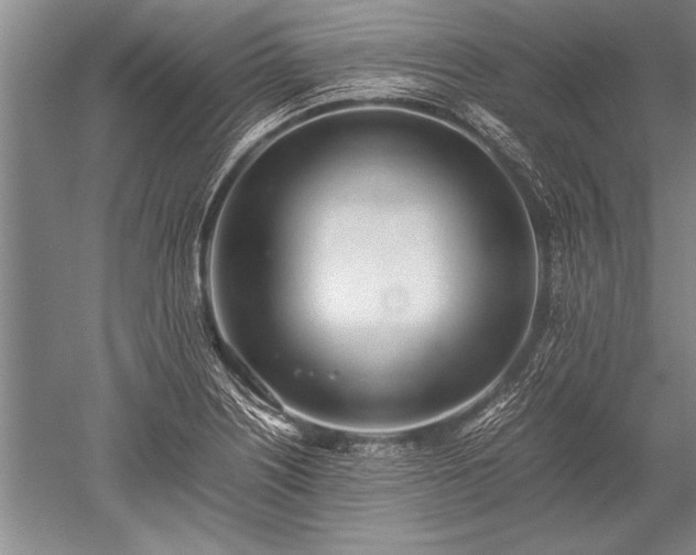 X0000052581226200507081719