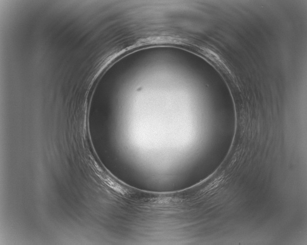 X0000052581228200507081719
