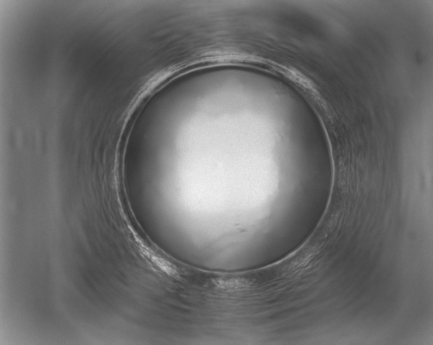 X0000052581231200507081719