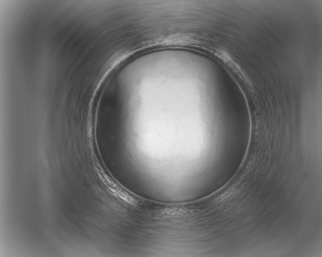 X0000052581232200507081719