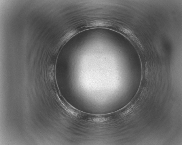 X0000052581233200507081719
