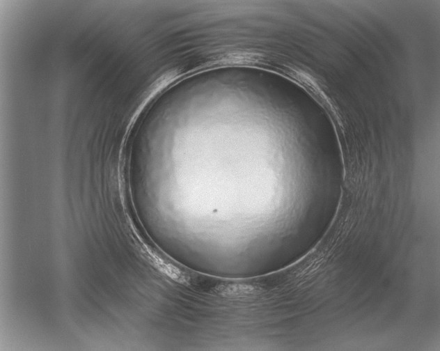 X0000052581235200507081719