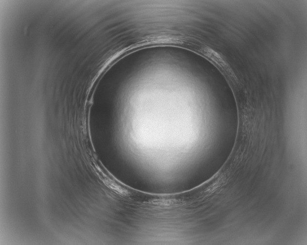 X0000052581236200507081719