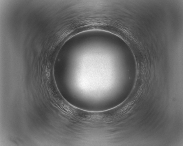 X0000052581257200507081719