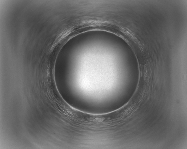 X0000052581261200507081719