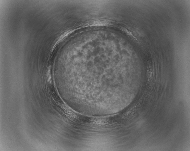 X0000052581262200507081718