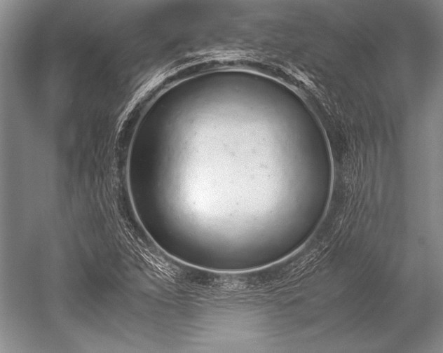 X0000052581263200507081718