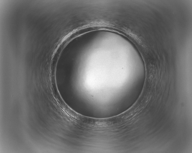 X0000052581264200507081718