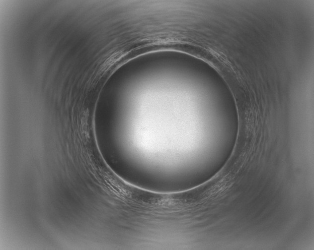 X0000052581265200507081718