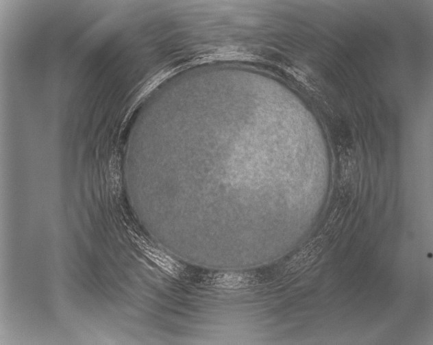 X0000052581266200507081718