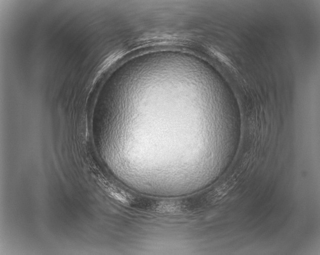 X0000052581267200507081718