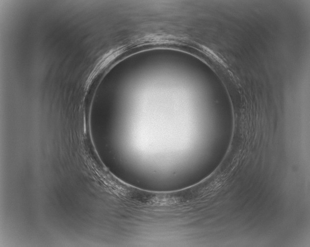 X0000052581269200507081718