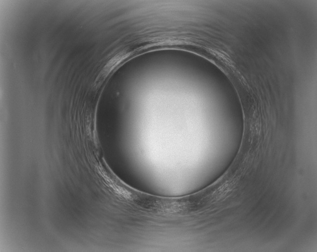 X0000052581273200507081718