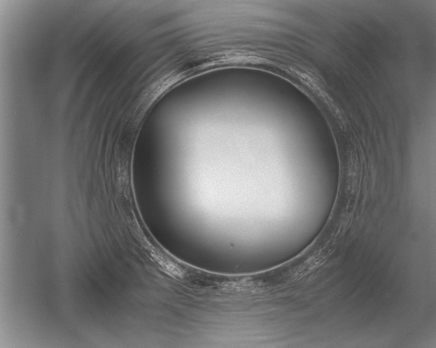 X0000052581281200507081718