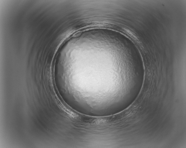 X0000052581283200507081718