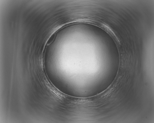 X0000052581284200507081718