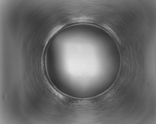 X0000052581285200507081718