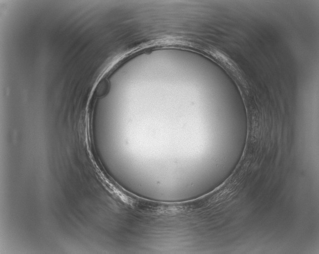 X0000052581286200507081718