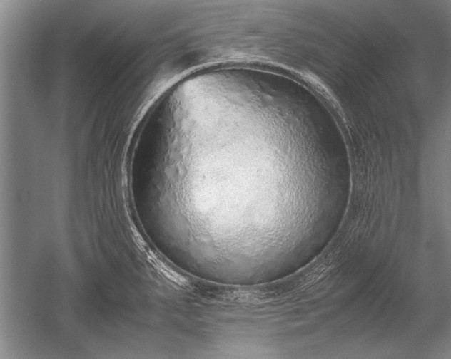 X0000052581287200507081718