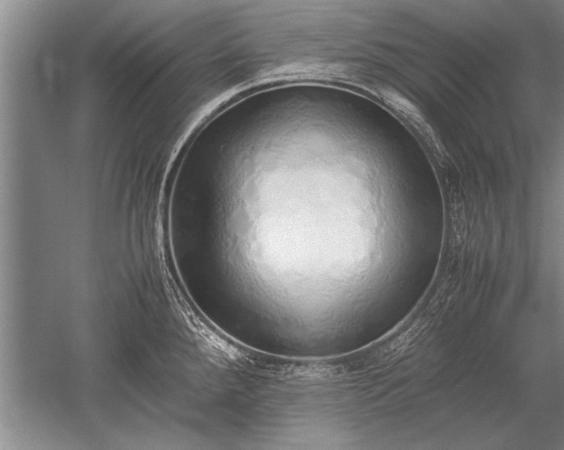 X0000052581288200507081718