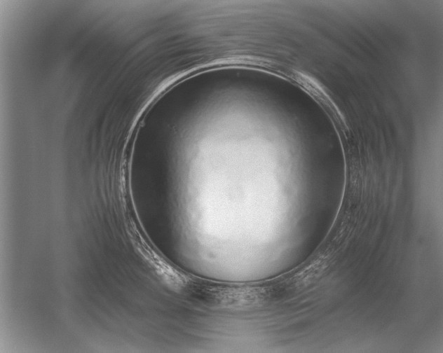X0000052581292200507081718