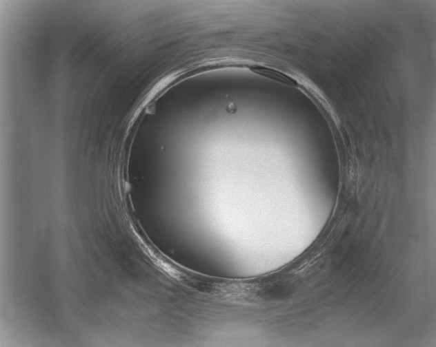 X0000052581293200507081718