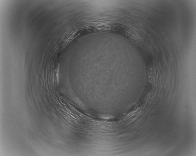 X0000052581298200507081717