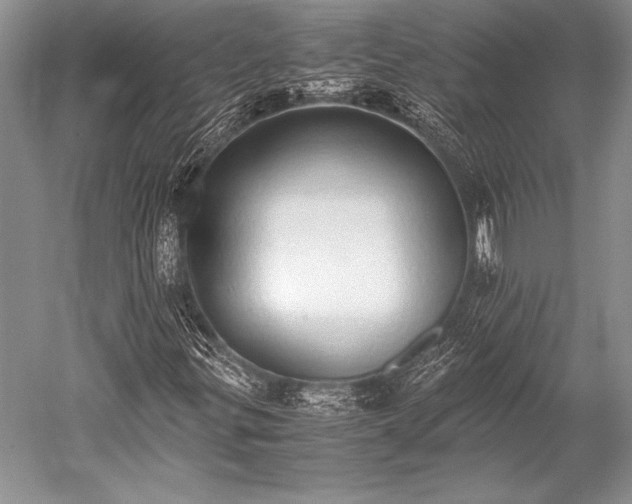 X0000052581299200507081717
