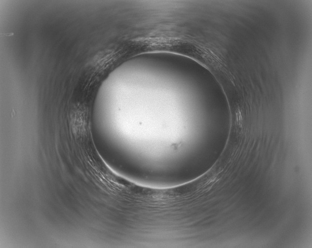 X0000052581300200507081717