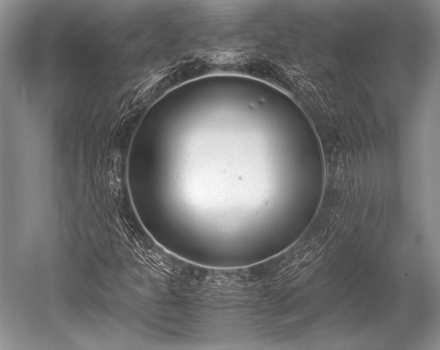 X0000052581301200507081717