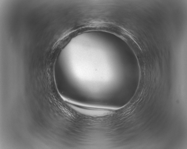X0000052581304200507081717