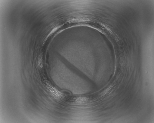 X0000052581306200507081717