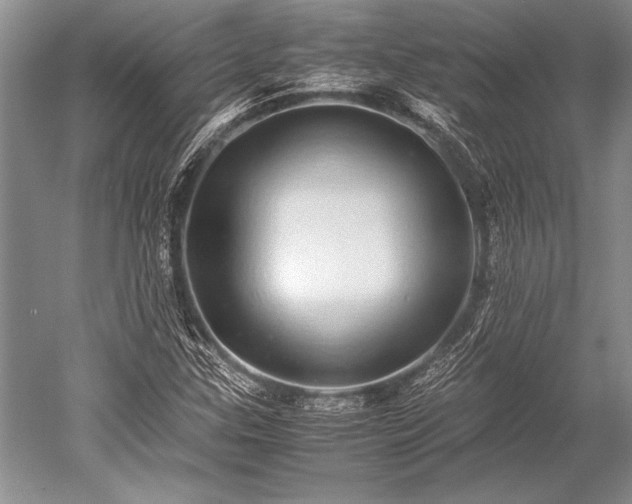 X0000052581307200507081717