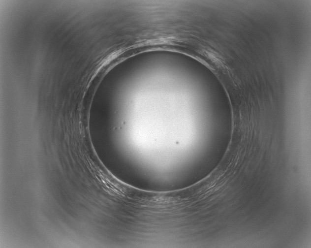 X0000052581308200507081717