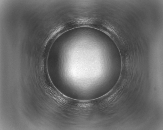 X0000052581309200507081717