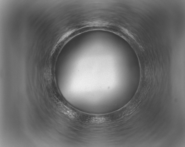 X0000052581315200507081717