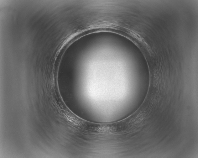 X0000052581316200507081717