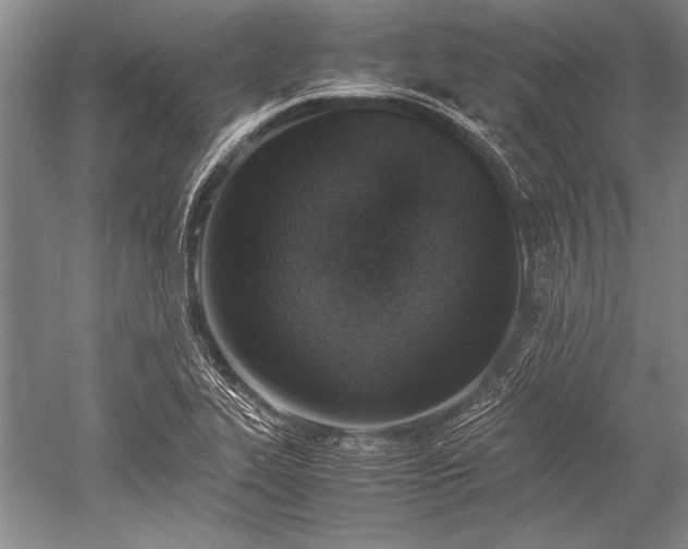 X0000052581319200507081717
