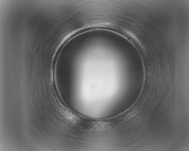 X0000052581324200507081718