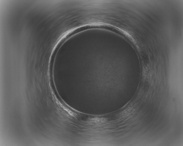X0000052581327200507081718