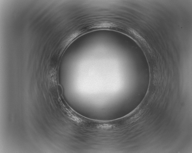 X0000052581329200507081718