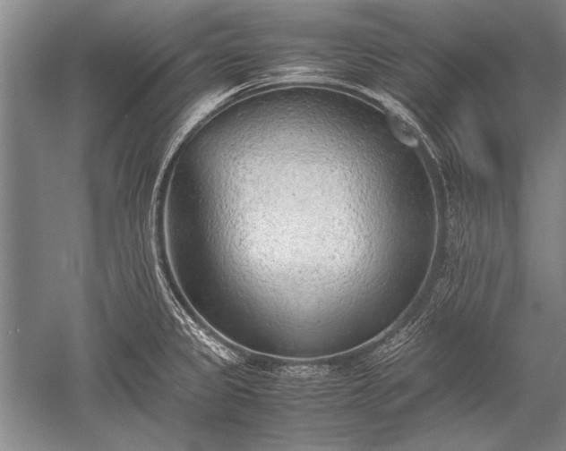 X0000052581333200507081718