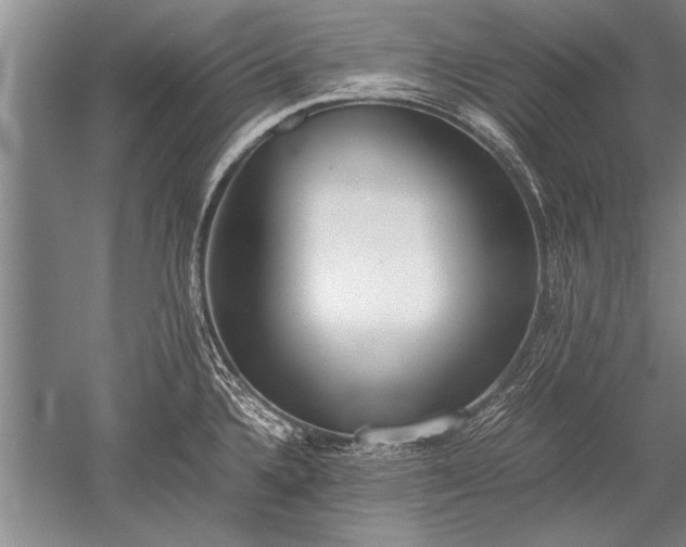 X0000052581336200507081718